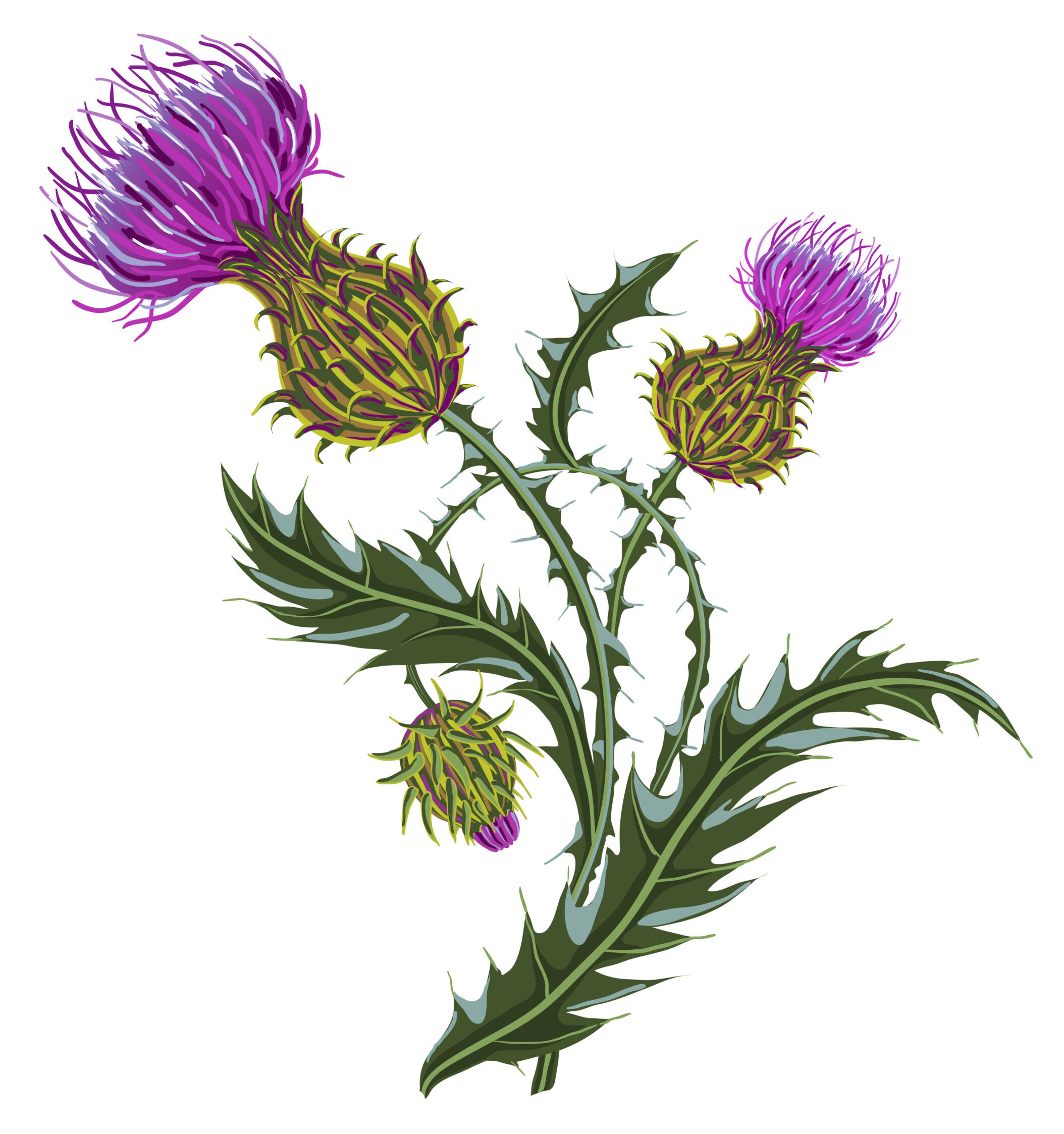 Thistle Bake